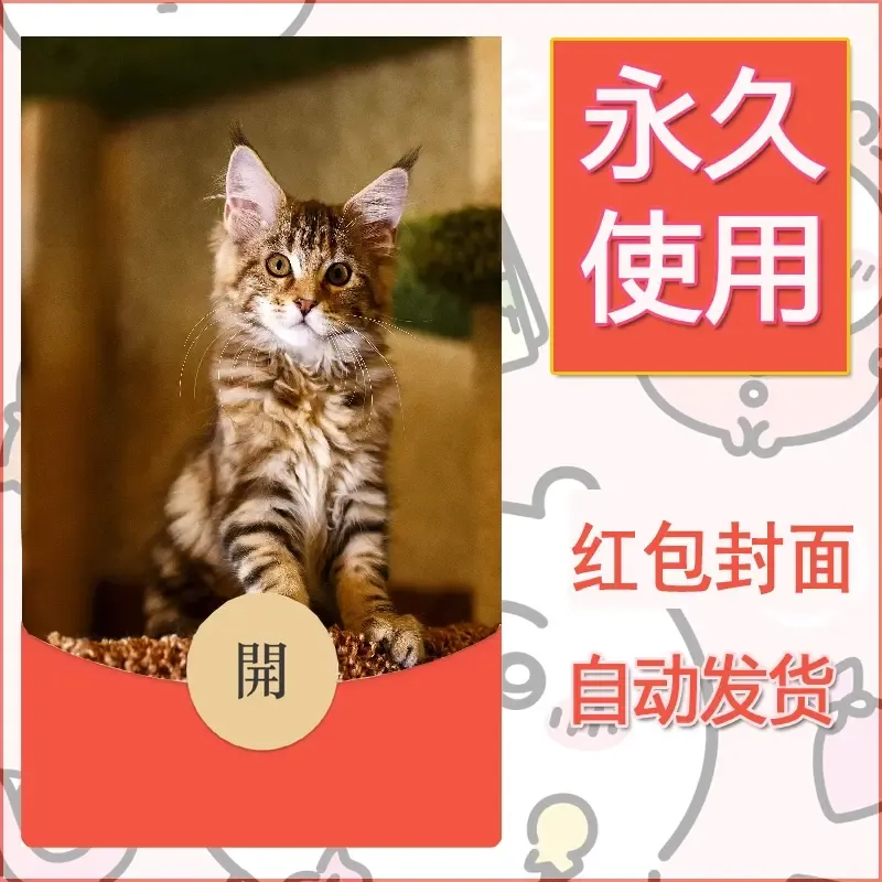 新款永久微信红包封面宠物系列diy素材70