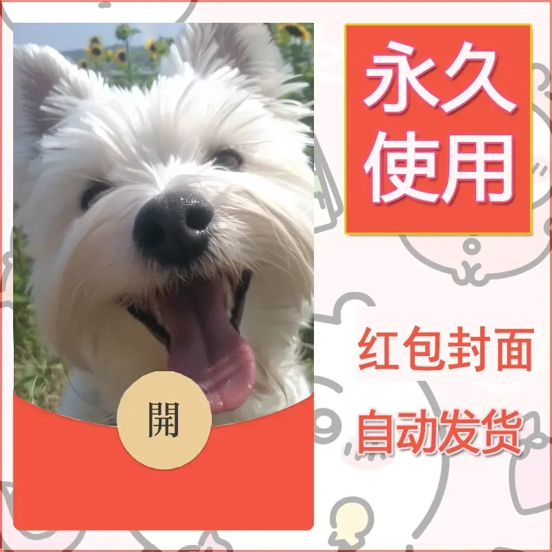 新款永久微信红包封面宠物系列diy素材279 - ¥0.42