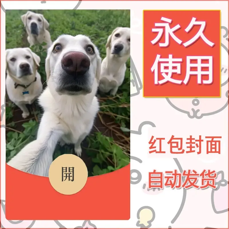 新款永久微信红包封面宠物系列diy素材305