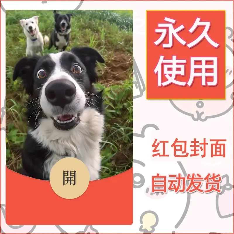 新款永久微信红包封面宠物系列diy素材288