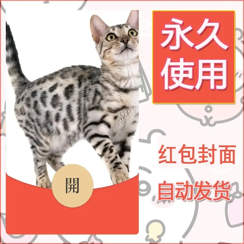新款永久微信红包封面宠物系列diy素材348
