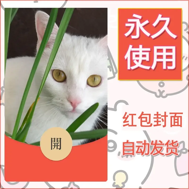 新款永久微信红包封面宠物系列diy素材406 - ¥0.42