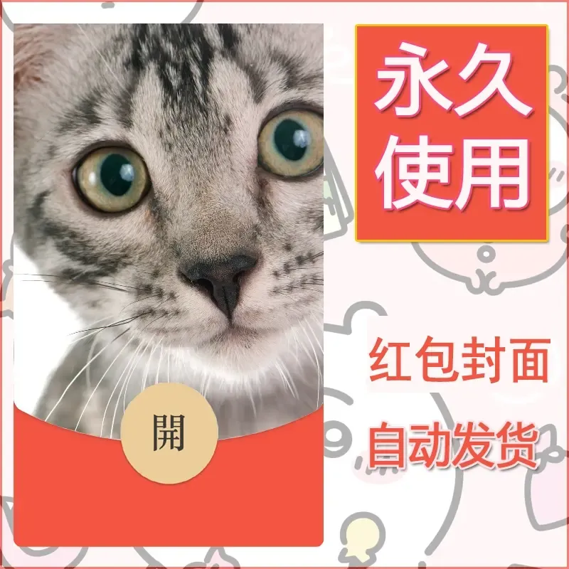 新款永久微信红包封面宠物系列diy素材444