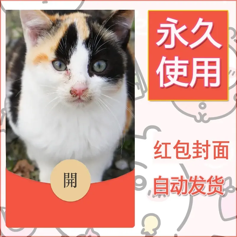 新款永久微信红包封面宠物系列diy素材470