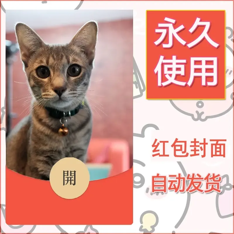 新款永久微信红包封面宠物系列diy素材550